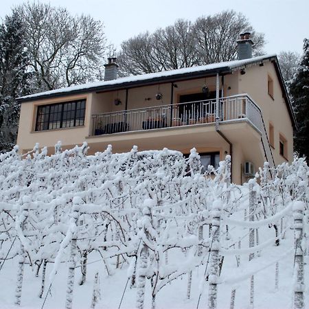 Apartamento Casavitis Erholung Am Weinberg Lontzen Exterior foto