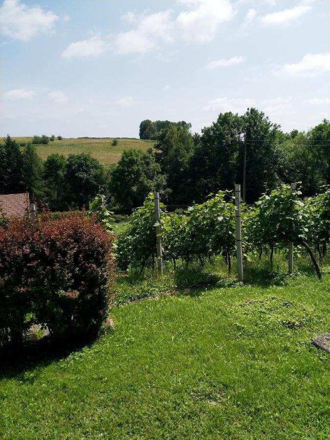 Apartamento Casavitis Erholung Am Weinberg Lontzen Exterior foto