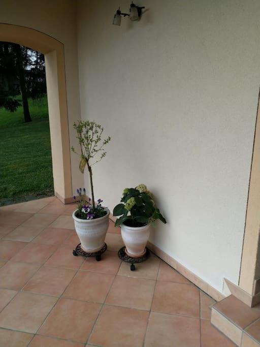 Apartamento Casavitis Erholung Am Weinberg Lontzen Exterior foto