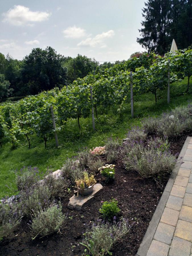 Apartamento Casavitis Erholung Am Weinberg Lontzen Exterior foto