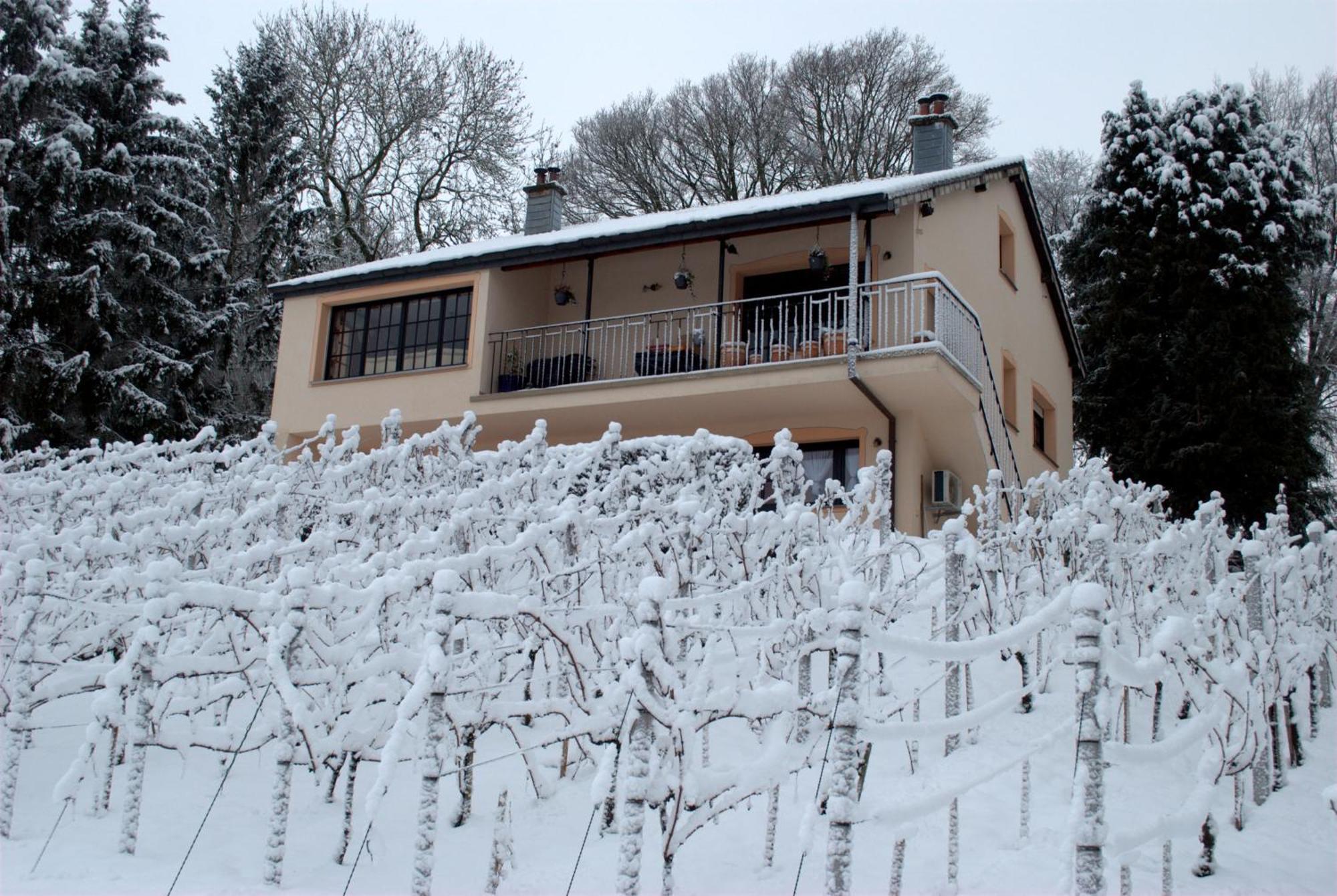 Apartamento Casavitis Erholung Am Weinberg Lontzen Exterior foto