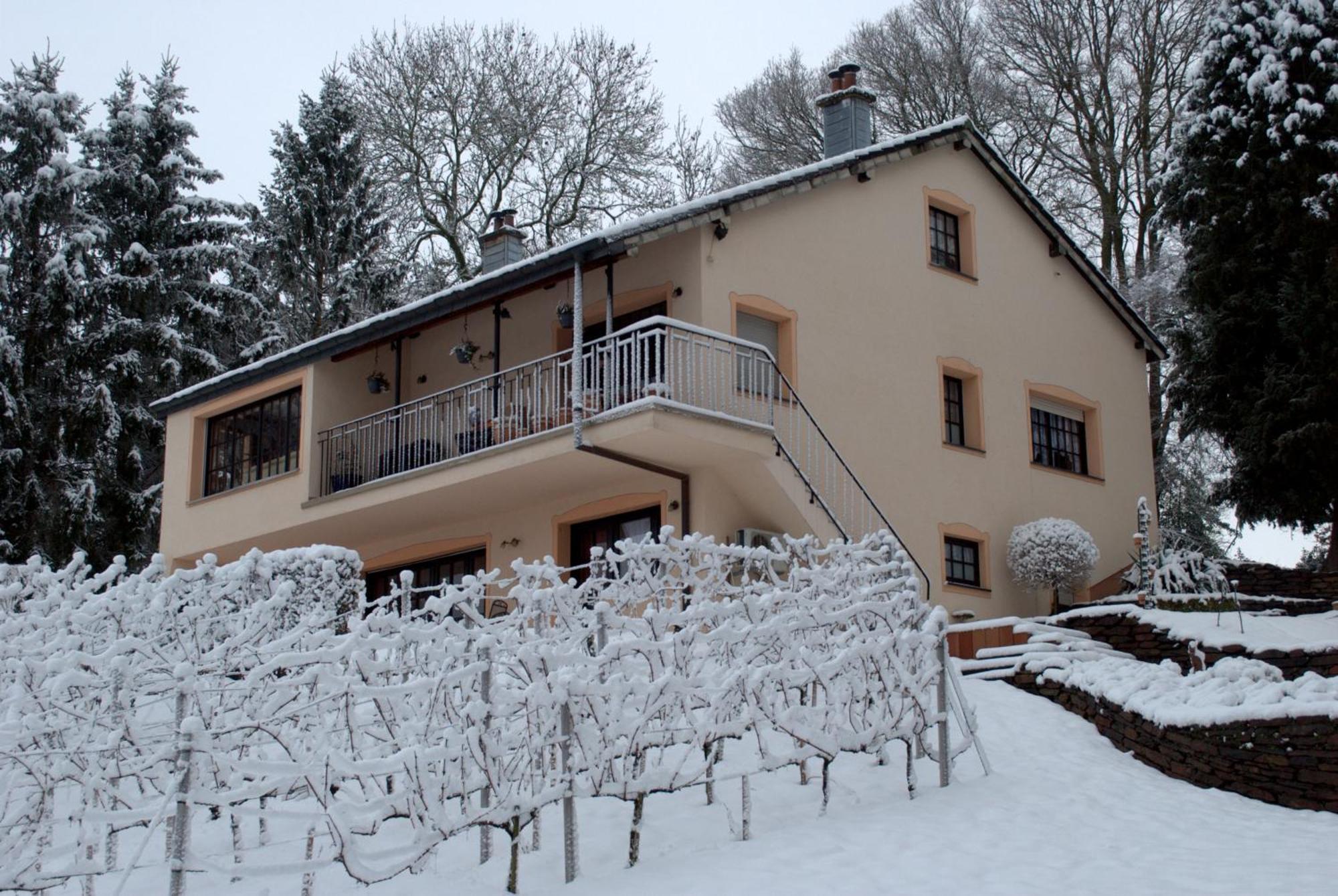 Apartamento Casavitis Erholung Am Weinberg Lontzen Exterior foto